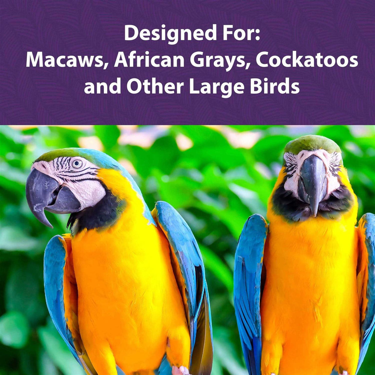 Large Bird Food J533