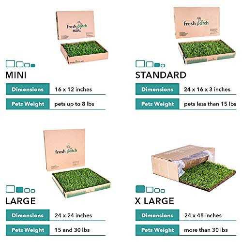 Large Real Grass Pee and Potty Training Pad for Dogs 15 to 30 pounds Q5636