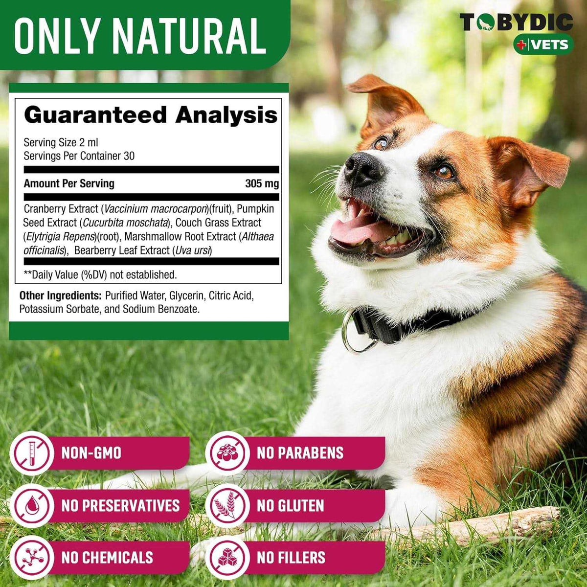 Cat & Dog UTI Medicine with Cranberry X148
