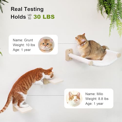 Cat Wall Hammock with Two Steps Set D530