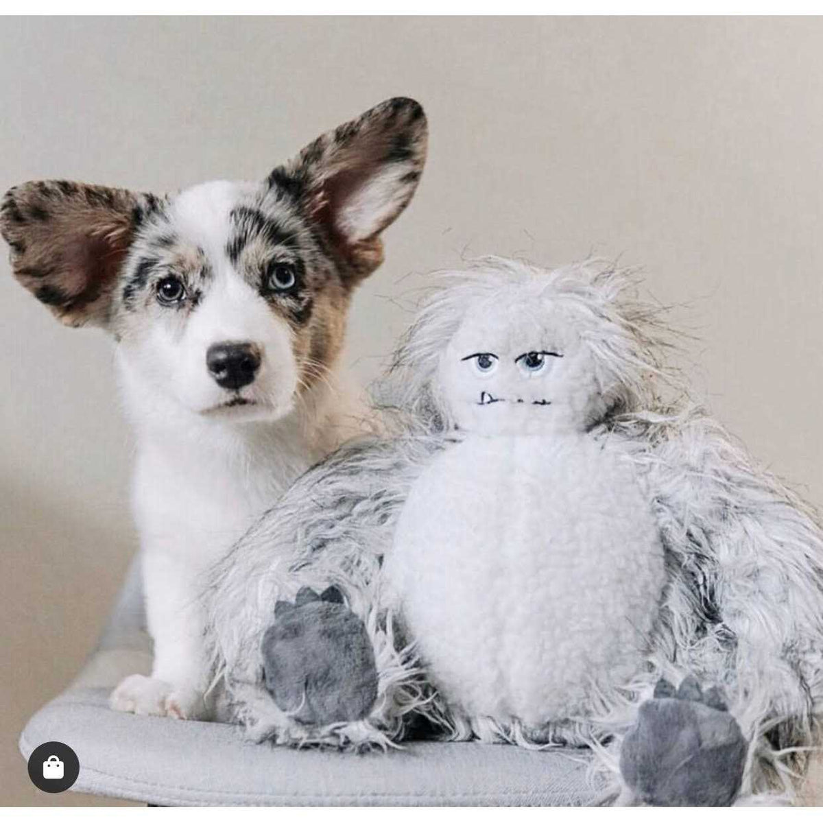 Mythical Dragon Dog Toy D556559