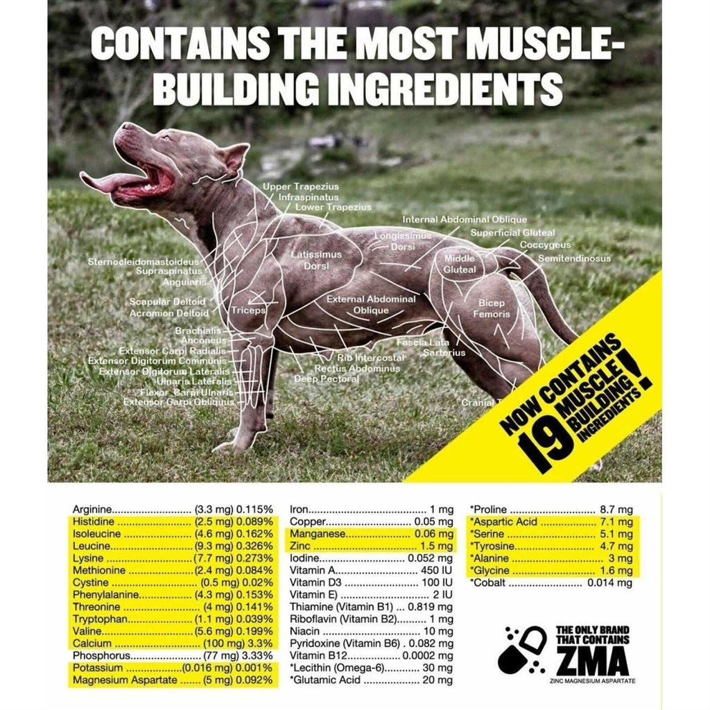 Canine Supplement L409