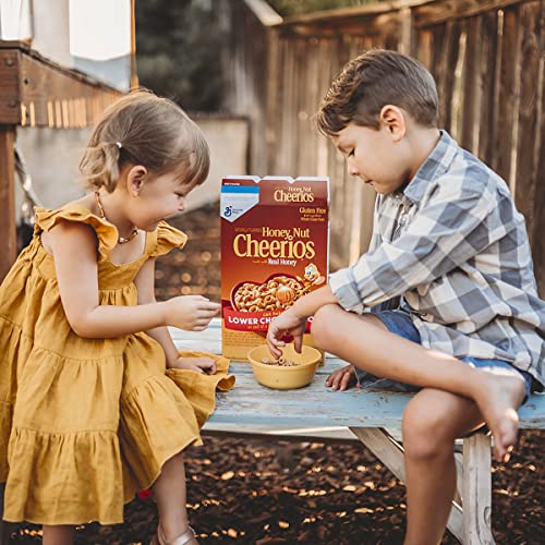 Gluten Free Whole Grain Oats Cereal, 32 oz M709469