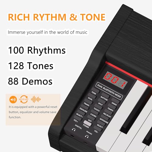 Black 88 Key Fully Weighted Hammer Action Digital Piano D332