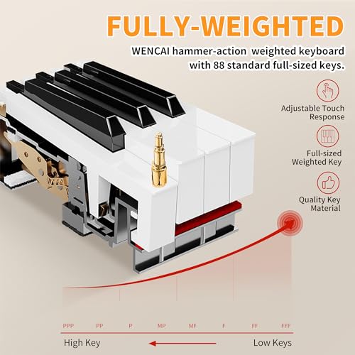 Black 88 Key Fully Weighted Hammer Action Digital Piano D332
