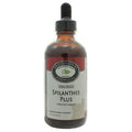 Spilanthes 4oz I31775