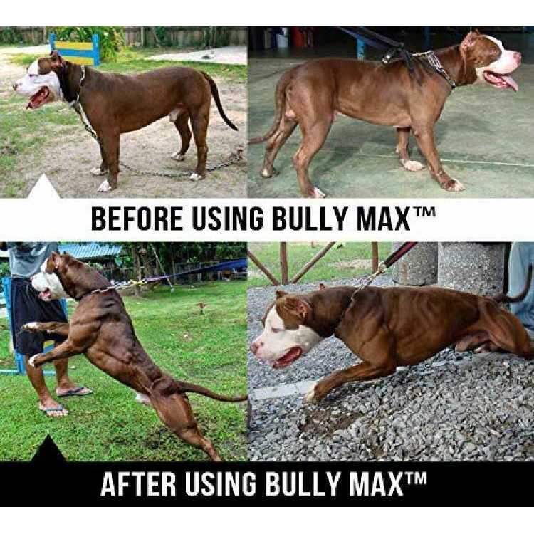 Canine Supplement L409