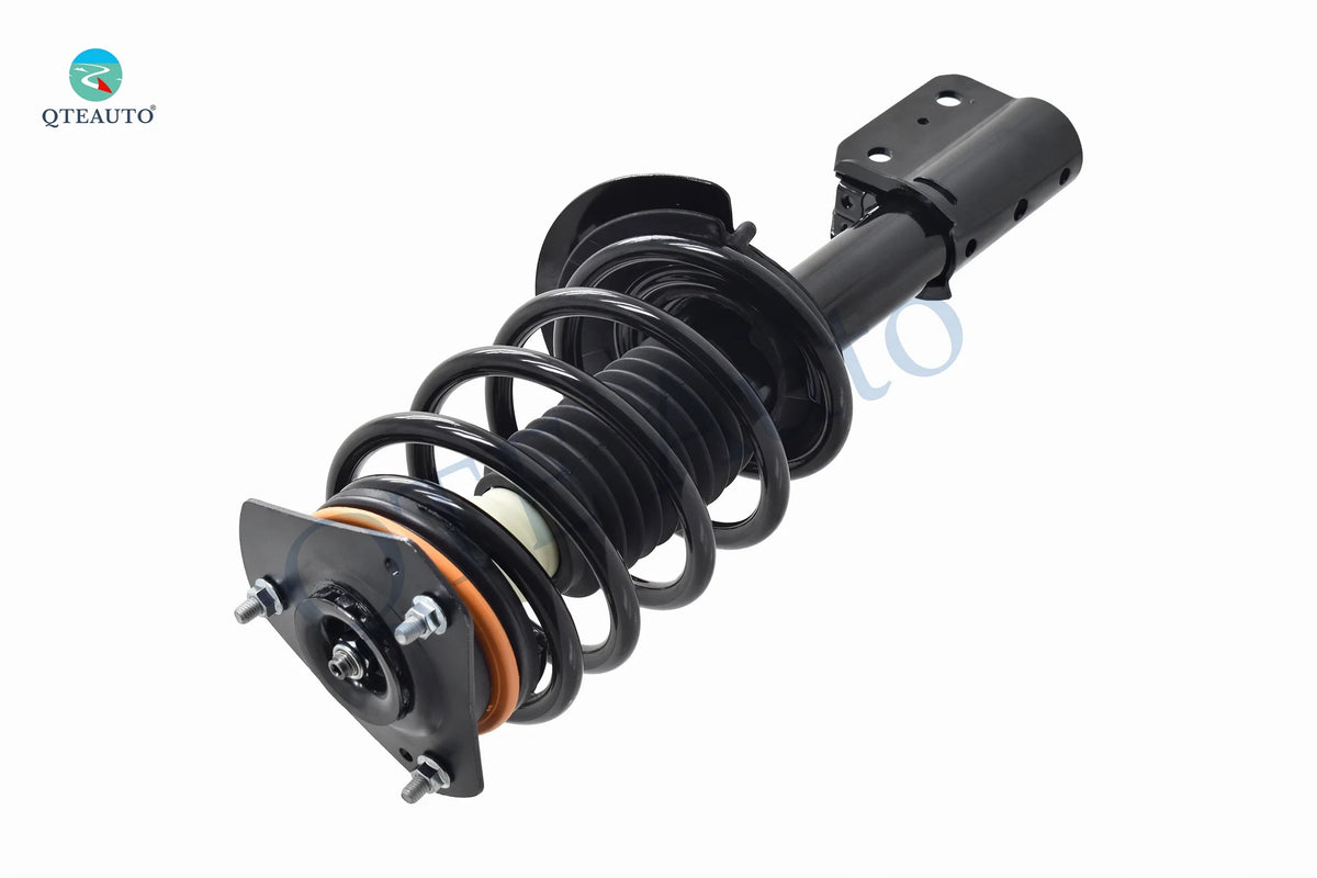 Complete Strut and Coil Spring W24413