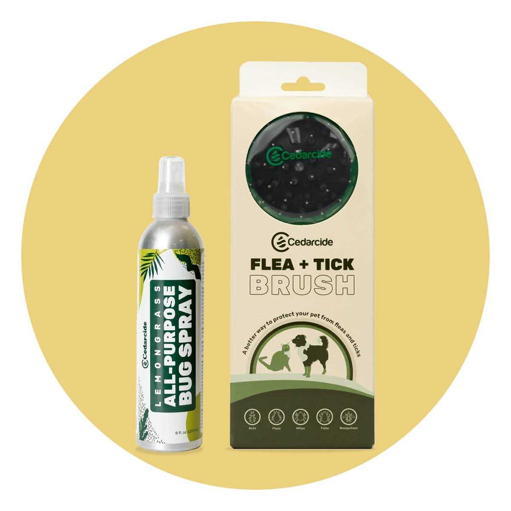 Flea + Tick Pet Brush Z98870