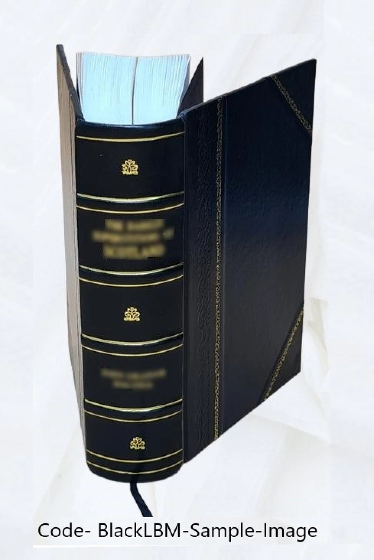 Leather Bound H689