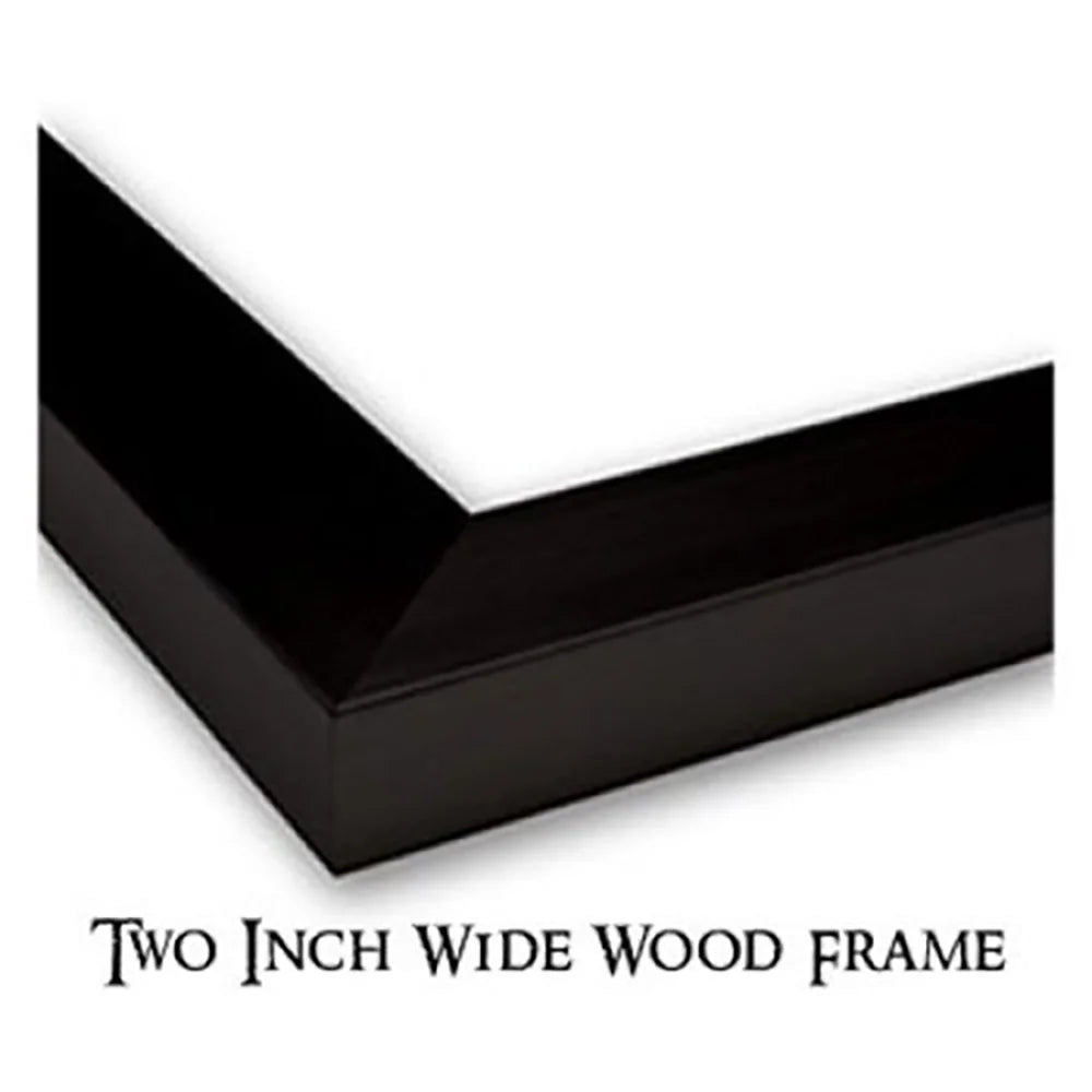 Black Modern Framed Museum Art Print K18829