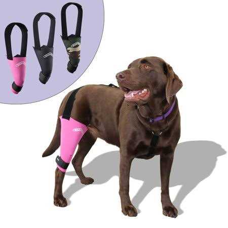 Dog & Cat Knee Brace Z281590