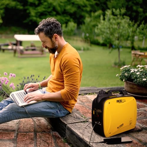 4000 Watt Portable Inverter Gas Generator L291