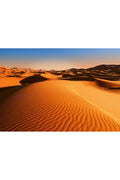 Desert Landscape Wall Mural C560915