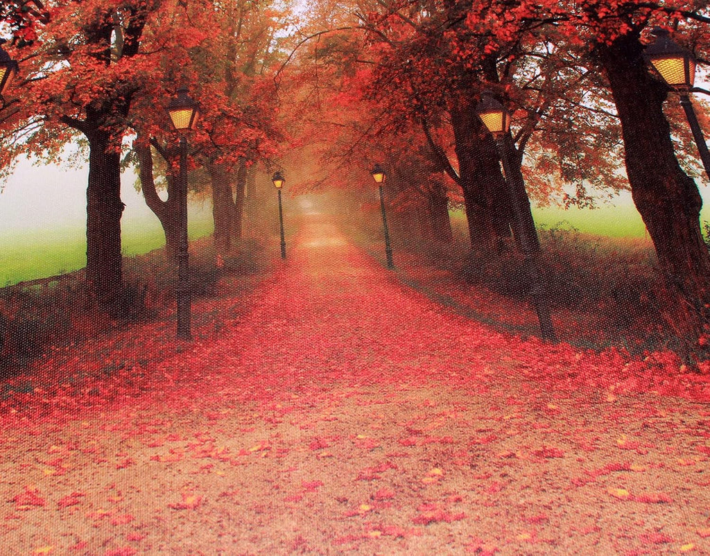 Red Maple Forest LED Wall Art Canvas Pictures 15.8x11.8inch E978194