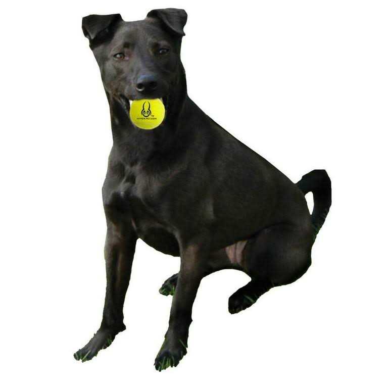 Tennis Balls G42240
