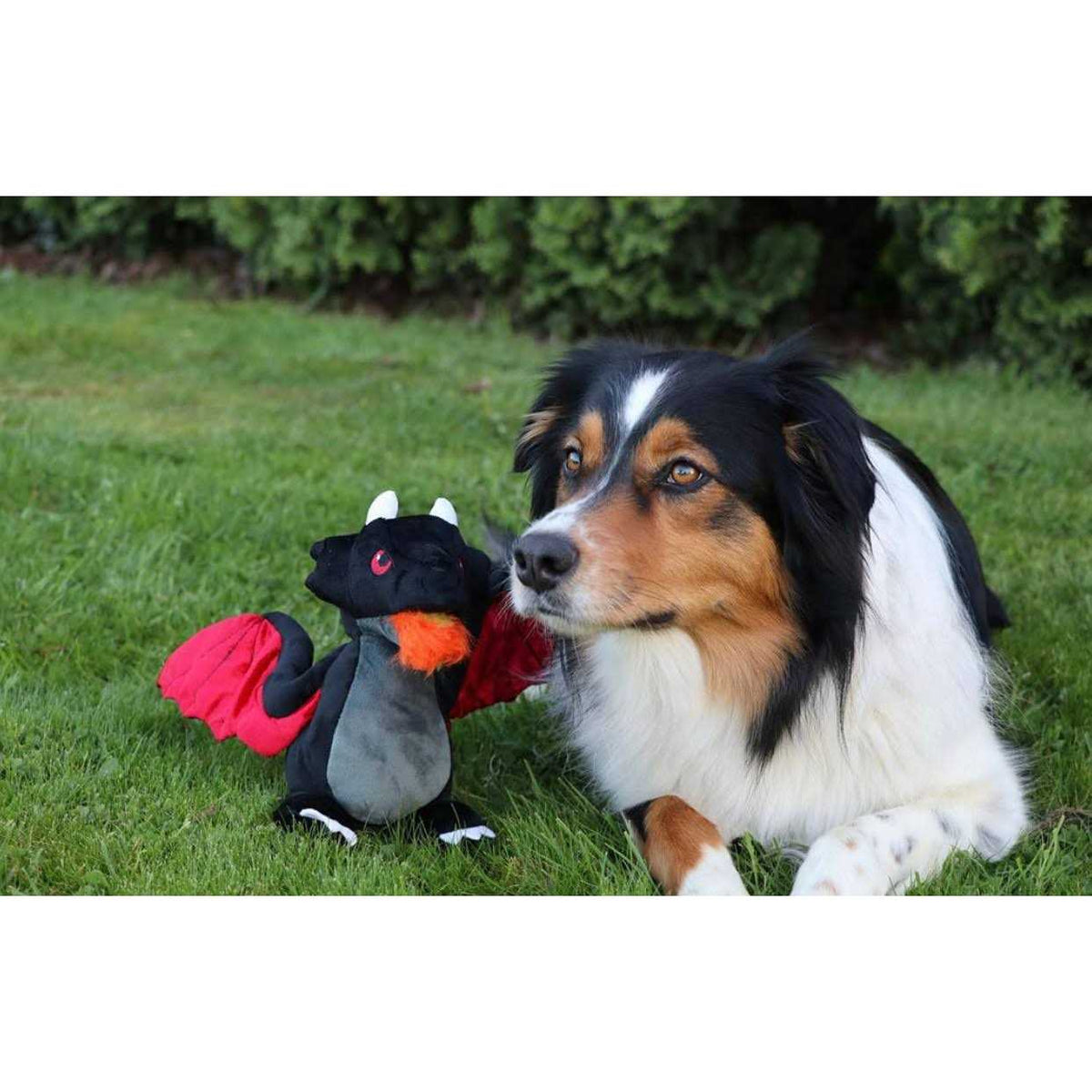 Mythical Dragon Dog Toy D556559