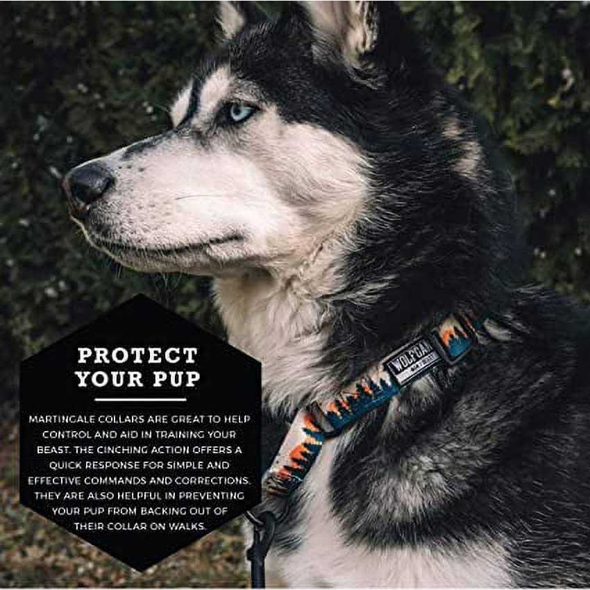 Martingale Dog Collar T416