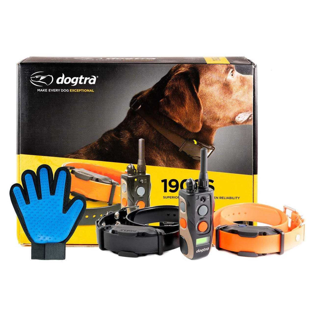 2 Dog Remote Training Collar R192560
