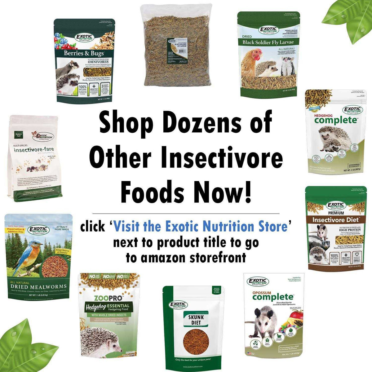 Premium Insectivore Diet M404