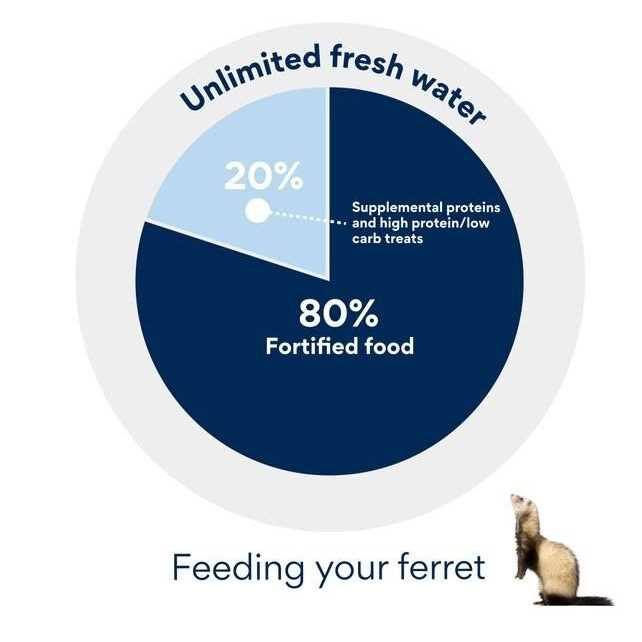 Premium Ferret Diet N259586