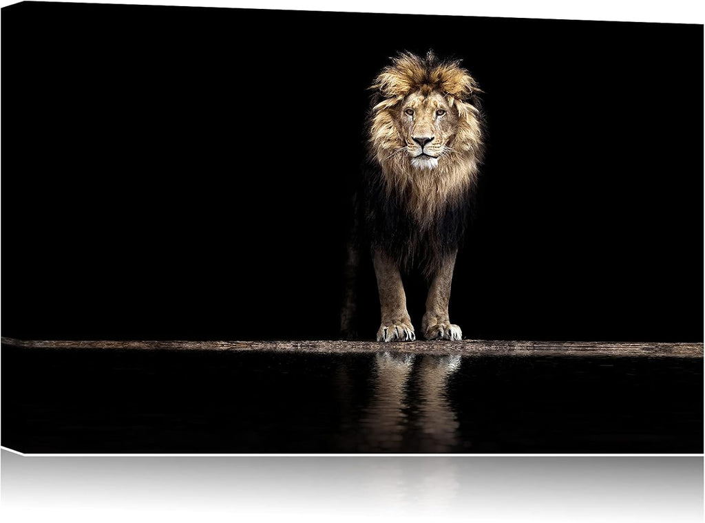 Framed Canvas Wall Art 18x12 S644228