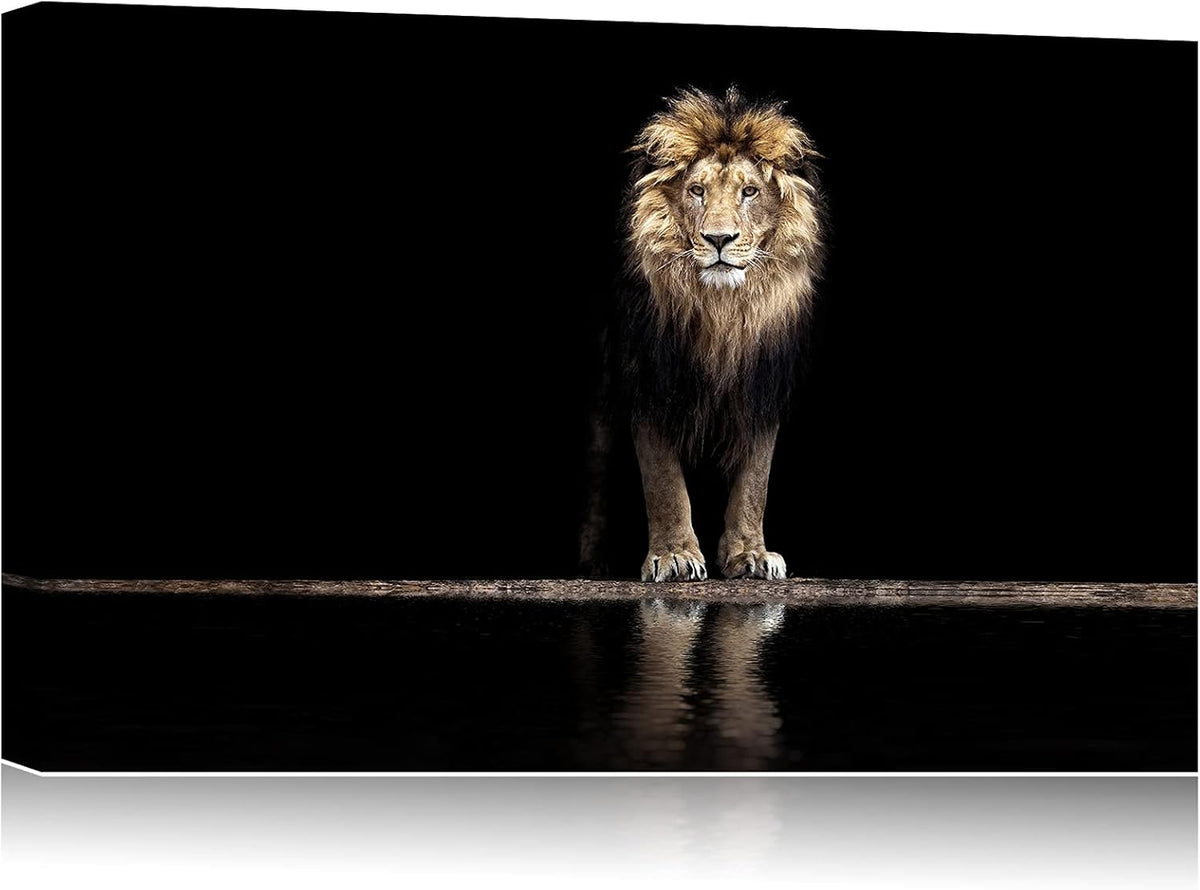 Framed Canvas Wall Art 18x12 S644228