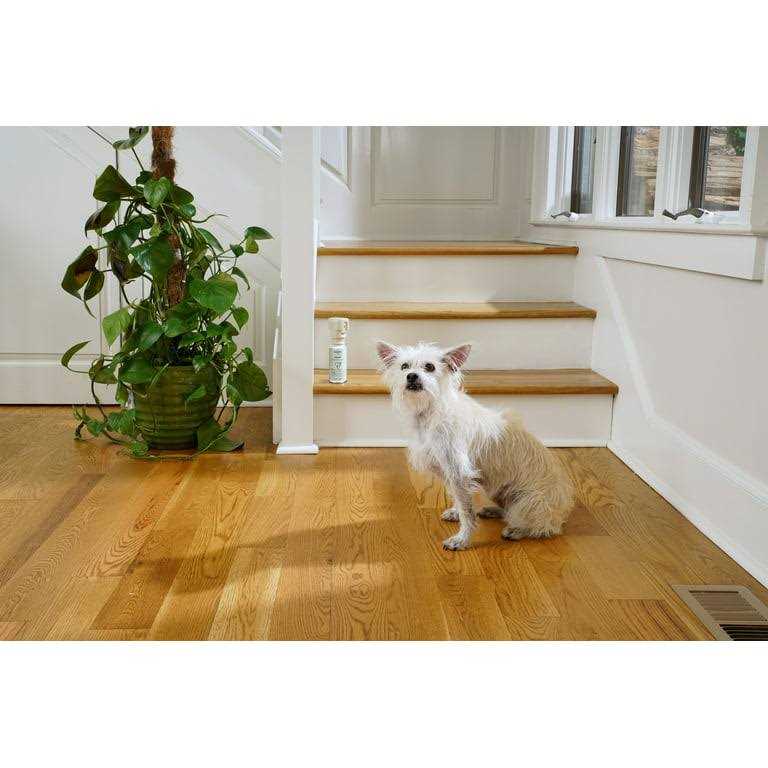 Pet Deterrent Spray A5238