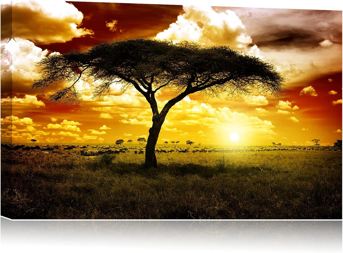 Framed Canvas Wall Art 18x12 S644228