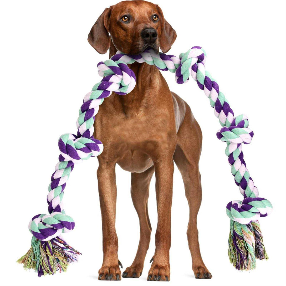 42In 6 Knots Indestructible Dog Rope Toy F842715