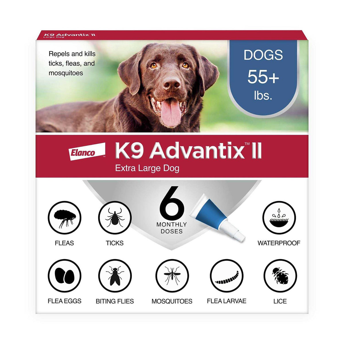 Extra Large Dogs Pet Supplies F44888