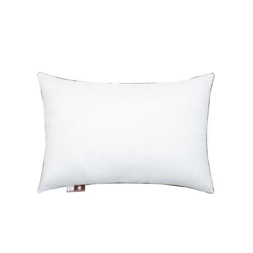Queen 2-Pack Down Alternative Bed Pillow O38748