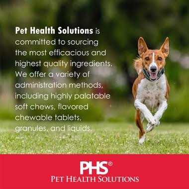 Cognitive Function Dogs Pet Supplies H641