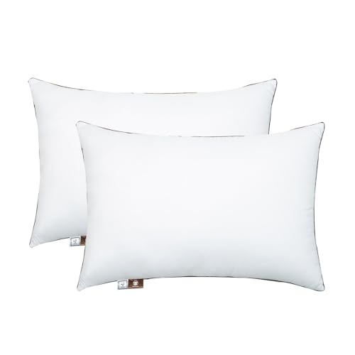 Queen 2-Pack Down Alternative Bed Pillow O38748