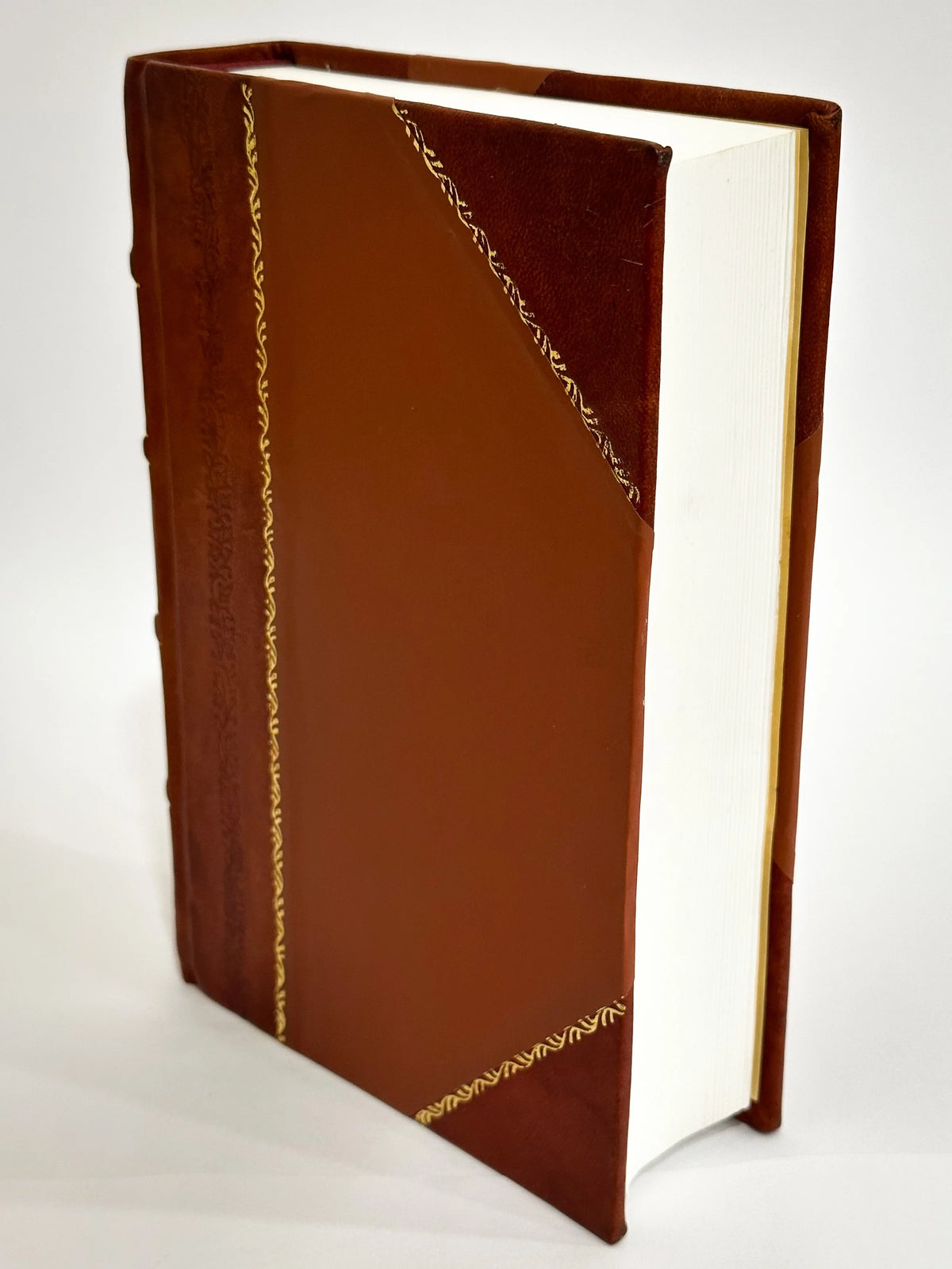 Law of Evidence in Criminal Cases Leather Bound B169