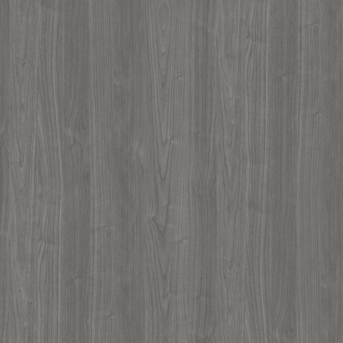Tall Storage Cabinet with Doors in Modern Gray L34672