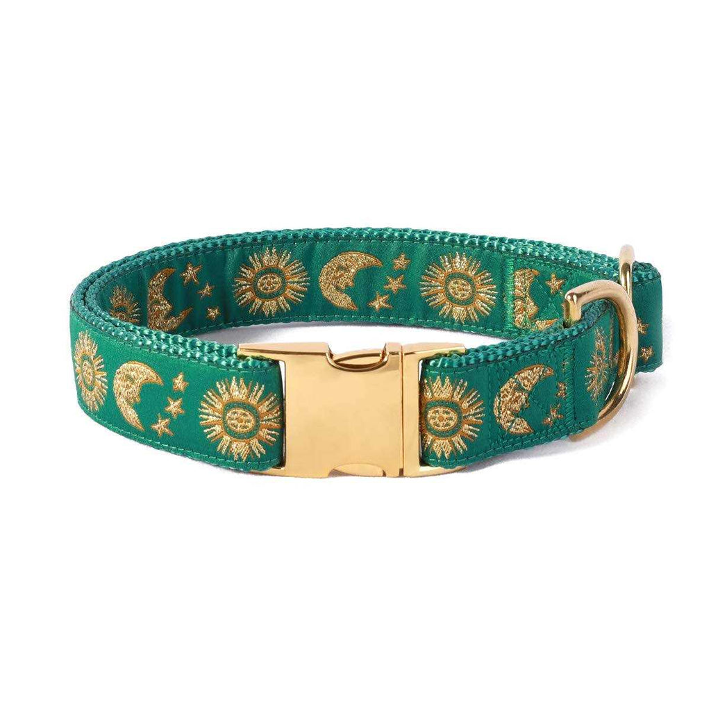 Cat Collar Dog Collar Cat Leash H484
