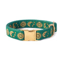 Cat Collar Dog Collar Cat Leash H484