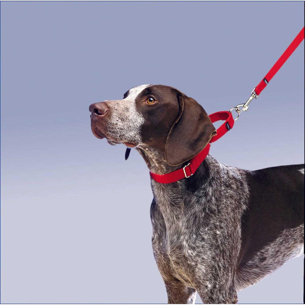 Martingale Collar T52886