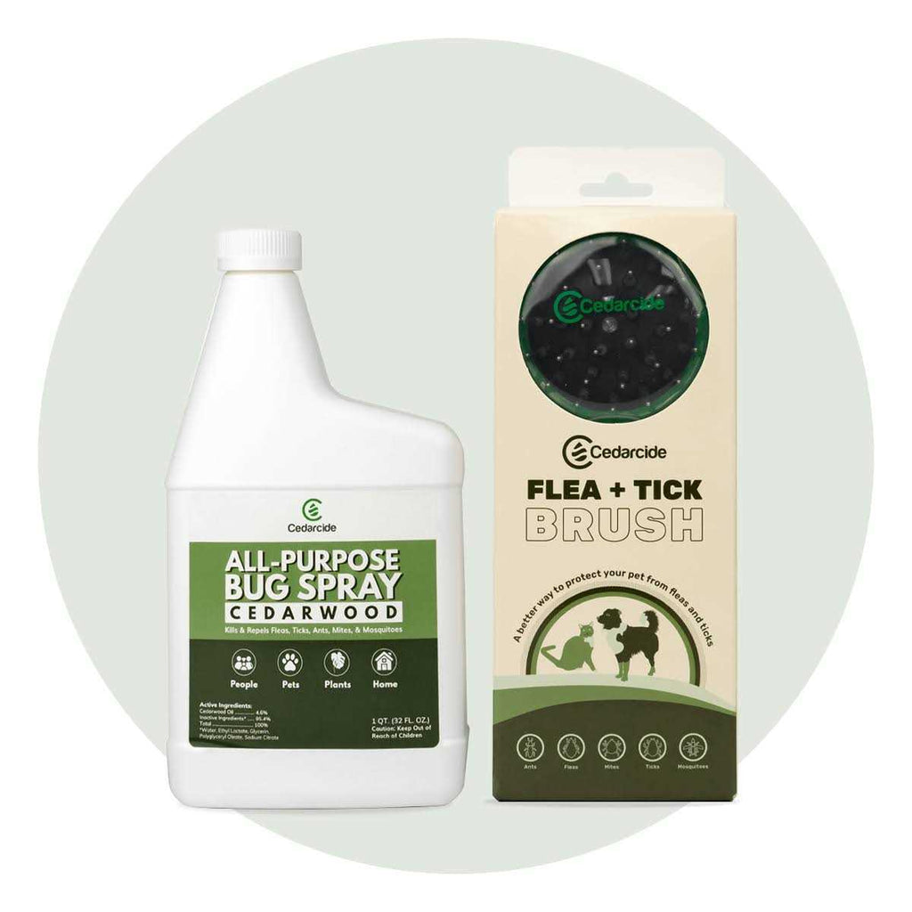 Flea + Tick Pet Brush Z98870