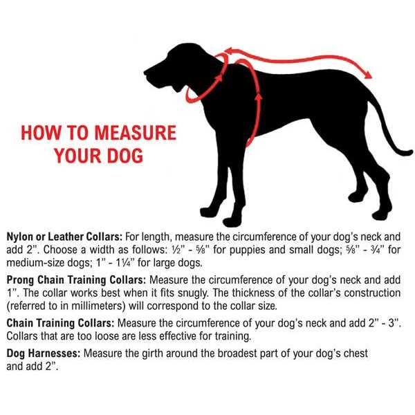 Comfort Mesh Harness T90931