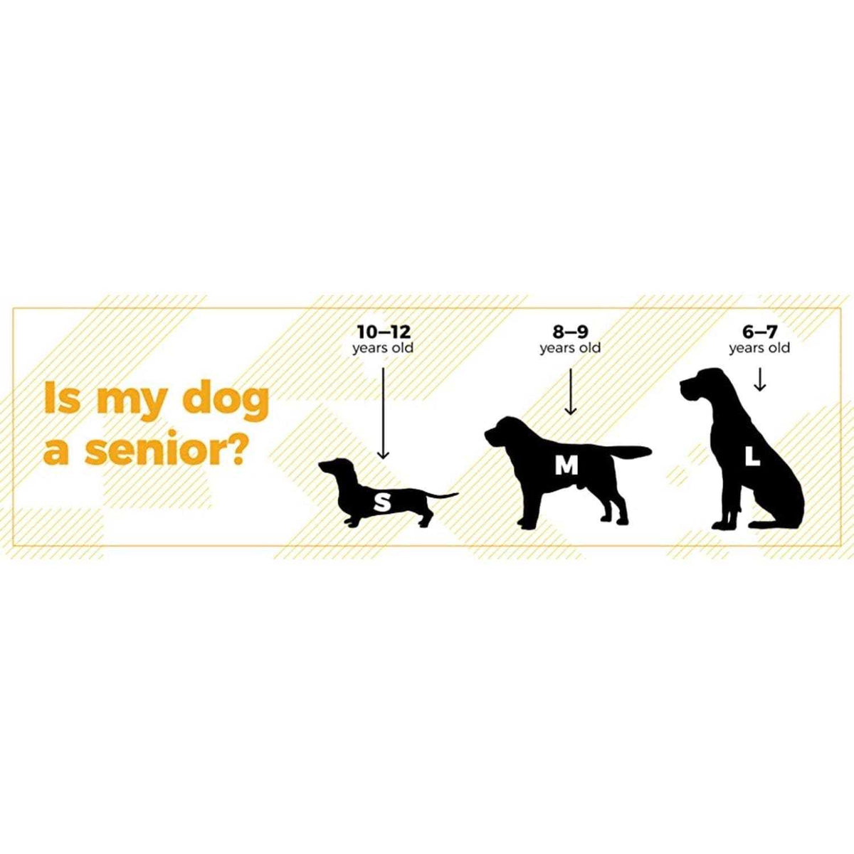 Dog Supplement 5.29 oz F13446