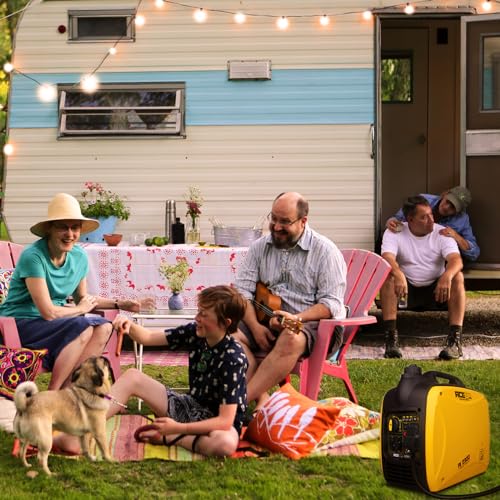 4000 Watt Portable Inverter Gas Generator L291