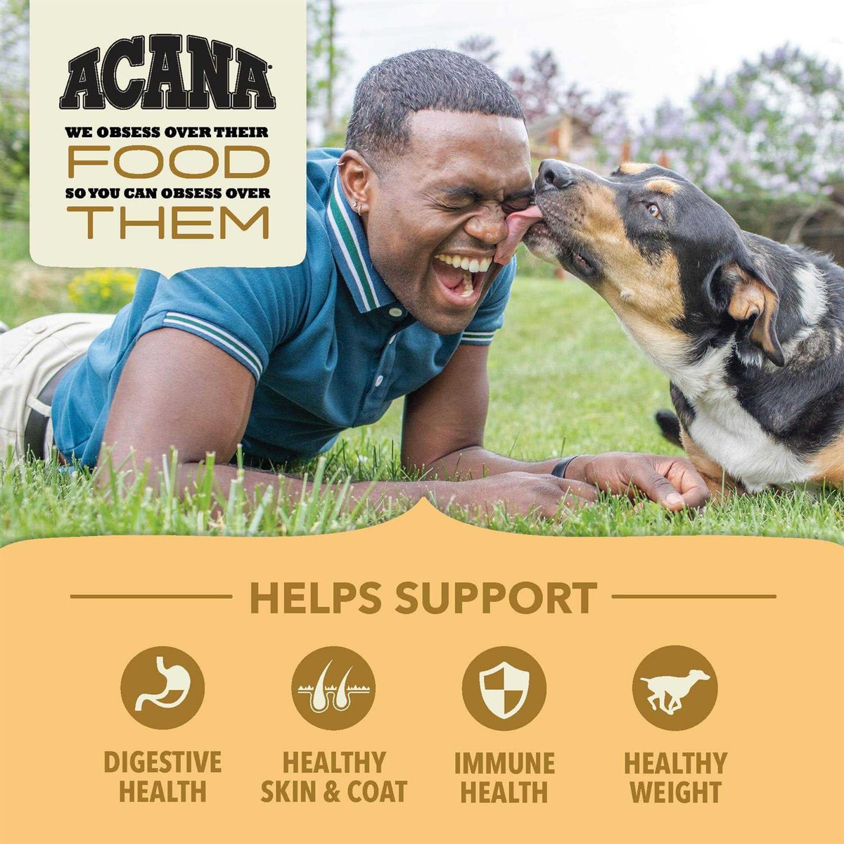 Wholesome Grains Dry Dog Food A2458