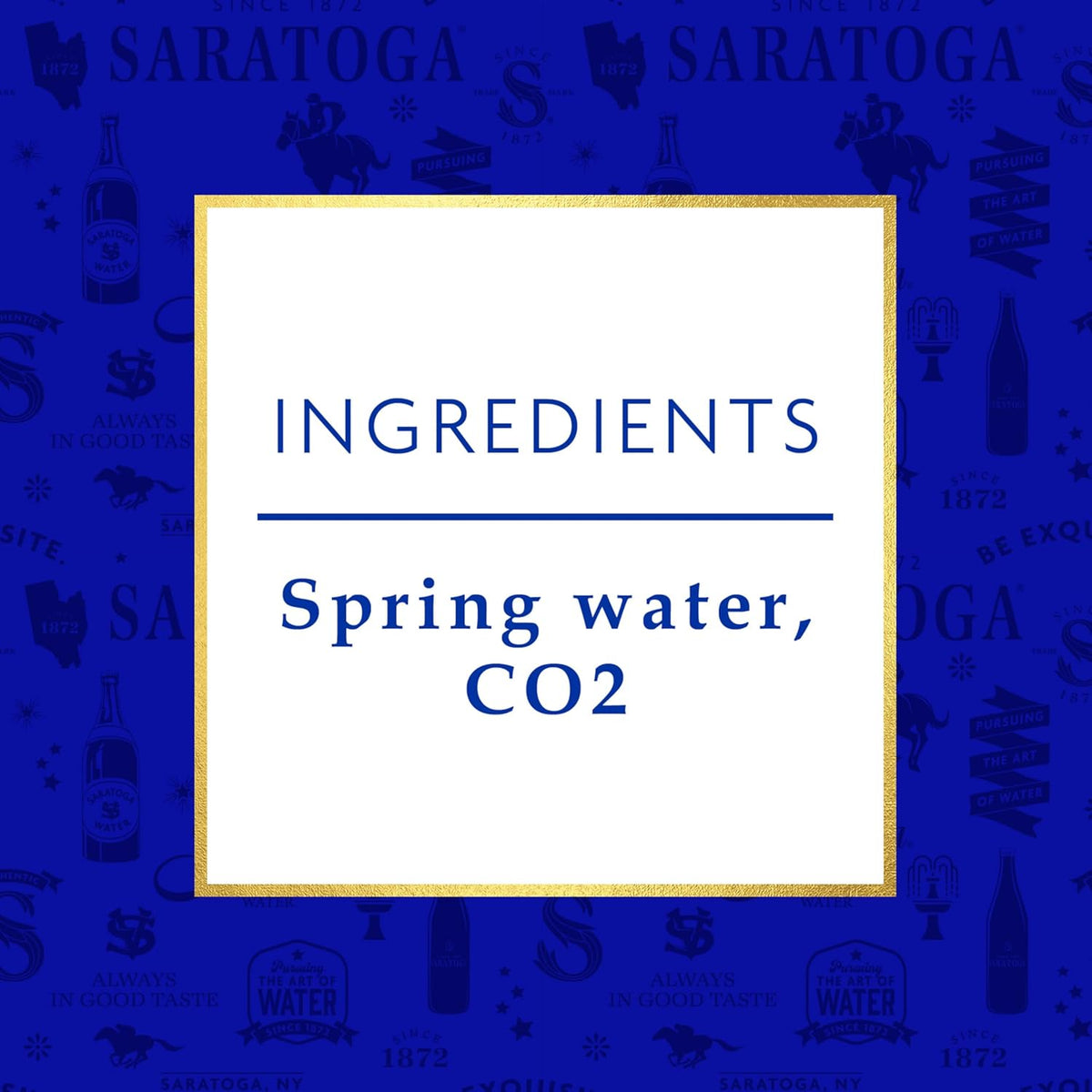 16 Oz Sparkling Spring Water Bottle PET D9865