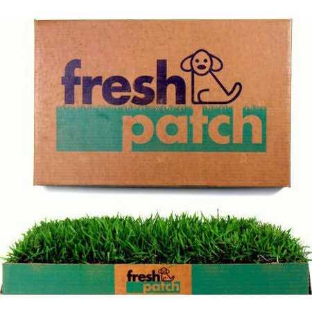 Large Real Grass Pee and Potty Training Pad for Dogs 15 to 30 pounds Q5636