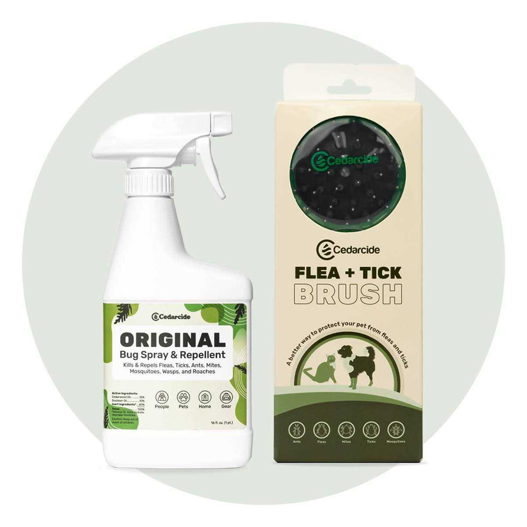 Flea + Tick Pet Brush Z98870