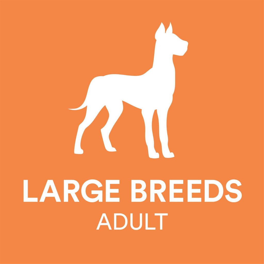 Chicken & Brown Rice Recipe Dry Dog Food S552