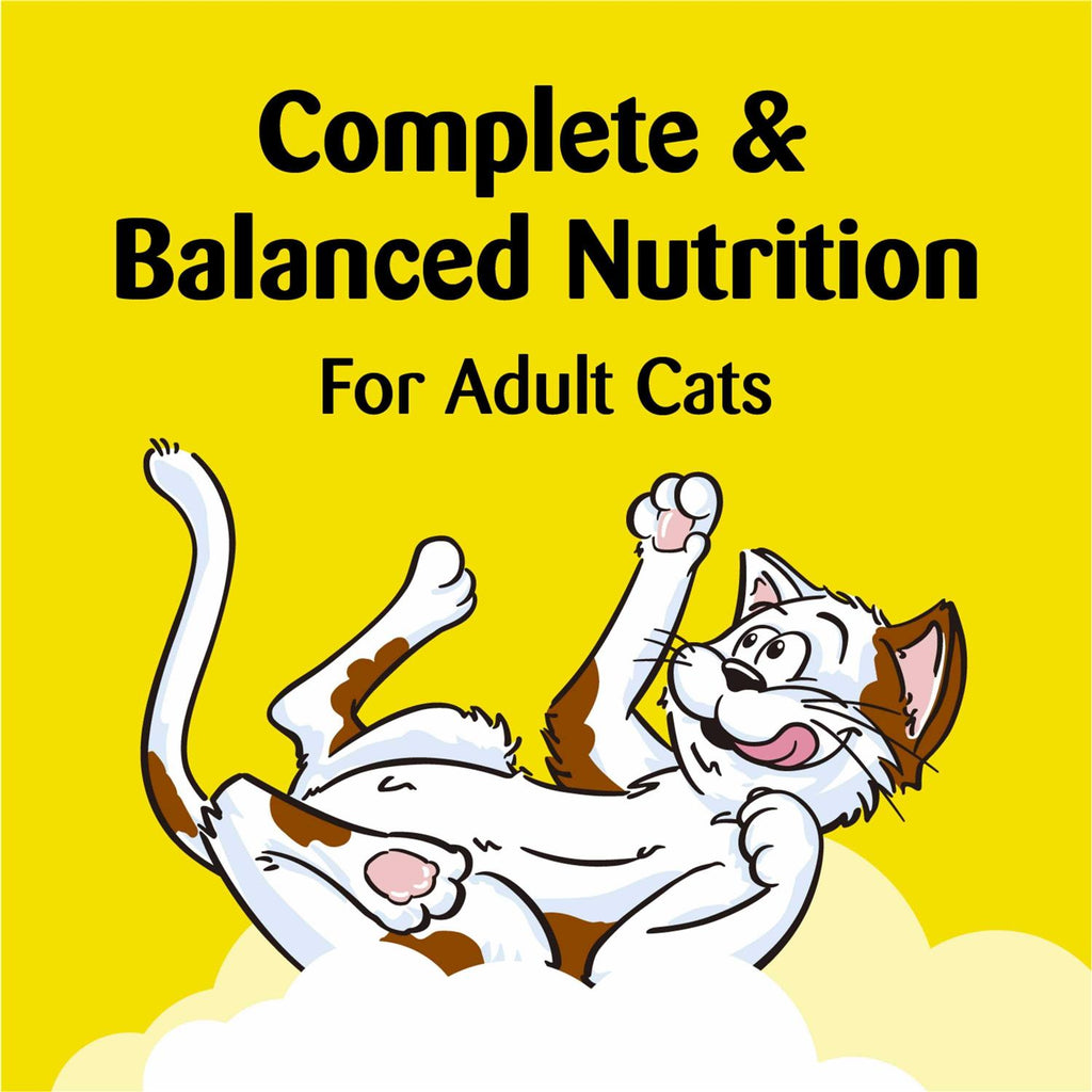 Cat Treats E3473