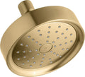 Vibrant Titanium Showerhead G547182